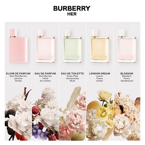 burberry her eau de parfum vs elixir|burberry her perfume 5 oz.